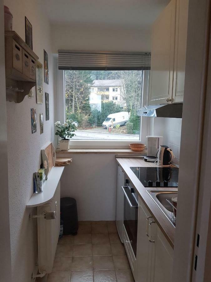 Weitblick Apartment Sankt Andreasberg Exterior foto